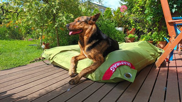 Sedací pytel BeanBag comfort-green frog