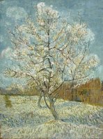 Almond blossom