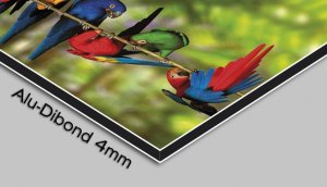 Designové nástěnné hodiny 3D-0036-L DX-time 48cm