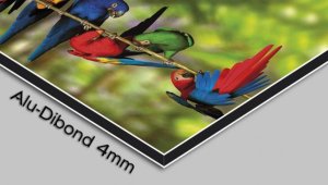 Designové nástěnné hodiny 3D-0285 DX-time 48cm
