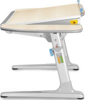 Dětský rostoucí stůl Profi 32P3 54 TW