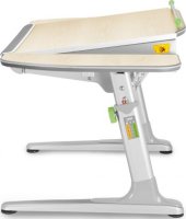 Dětský rostoucí stůl Profi 32P3 54 TW