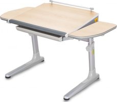 Dětský rostoucí stůl Profi 32P3 54 TW