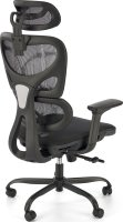 Ergonomická židle GOTARD