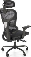 Ergonomická židle GOTARD