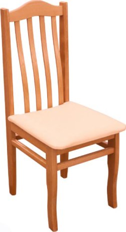 Jídelní židle 41