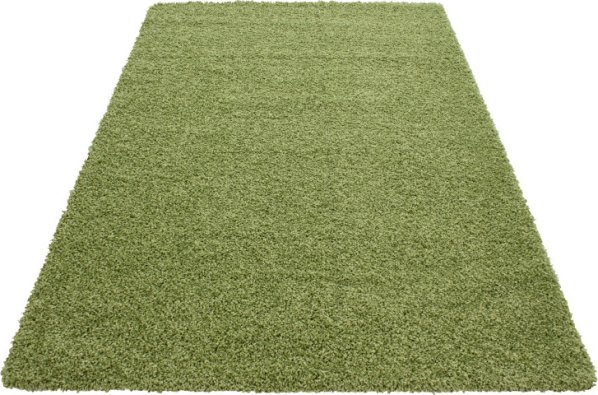 Kusový koberec Dream Shaggy 4000 green