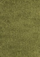 Kusový koberec Dream Shaggy 4000 green