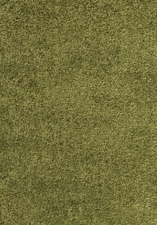 Kusový koberec Dream Shaggy 4000 green