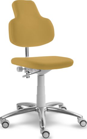 Kosmetická židle s opěrkou MEDI 2206