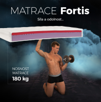 Matrace Fortis 24 140x200 cm