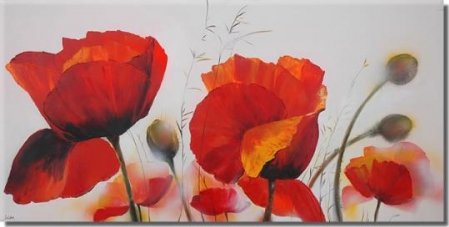 Obraz - Volnost, 50 cm x 100 cm