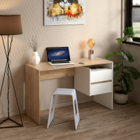 PC stůl Haury dub artisan/bílá