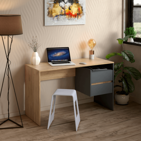 PC stůl Haury dub artisan/grafit