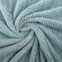 Plyšová deka Rugs neomint 160x200cm