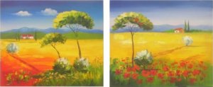 Obrazy - Krajiny, 2 kusy 50x60 cm