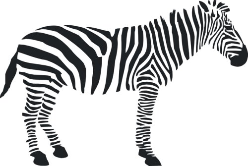 Samolepící dekorace Zebra